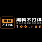 吃瓜网在线爆料不打烊视频