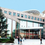 西安外事学院女大学生网课吃瓜,西安外事学院女大学生“吃瓜”瞬间走红