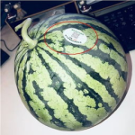 文安吃瓜是哪个网红,揭秘网红背后的故事
