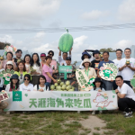 天涯海角去吃瓜百果园猎果之旅走进海南2025年6月15日